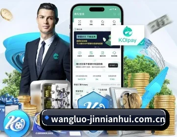 wangluo-jinnianhui.com.cn APP
